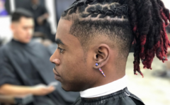 Locs Hairstyles for Men