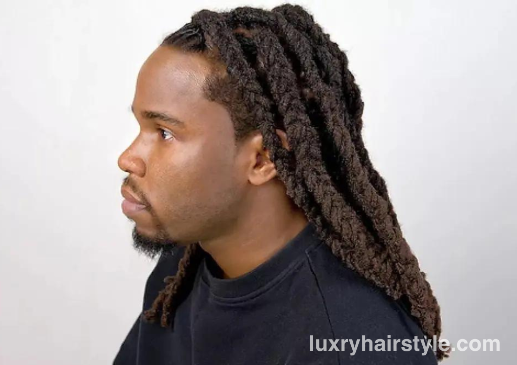 Layered Locs Hairstyles