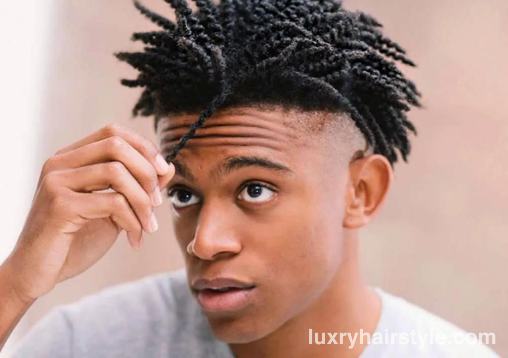 Twisted Locs Hairstyles