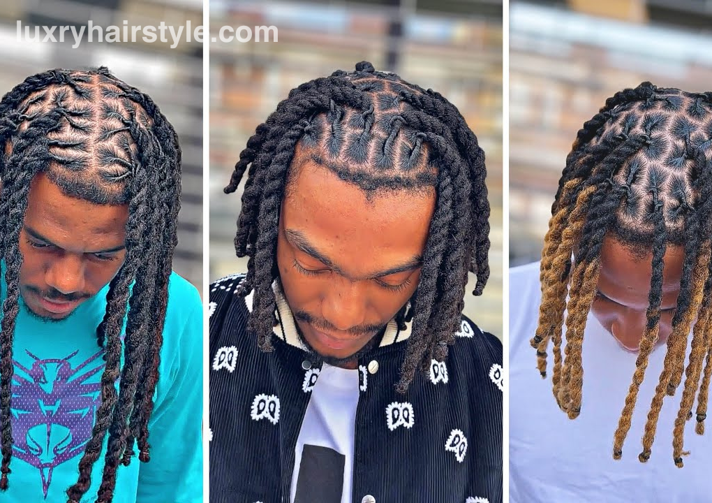 Bohemian Vibes locs hairstyle