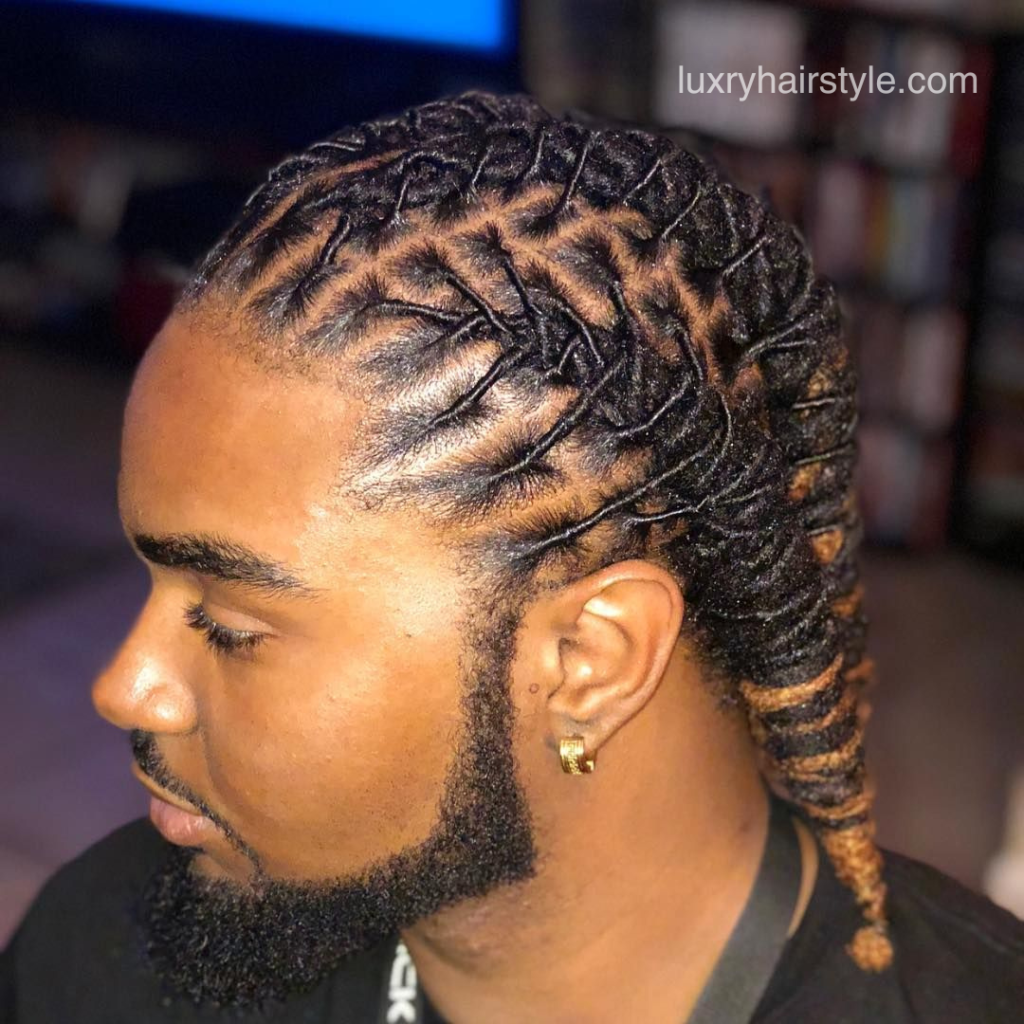 Simple and easy cuts locs hairstyle